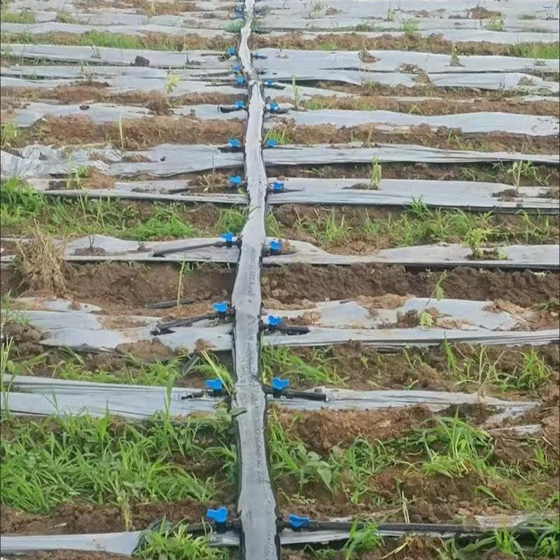 Flat PE Water Pipe