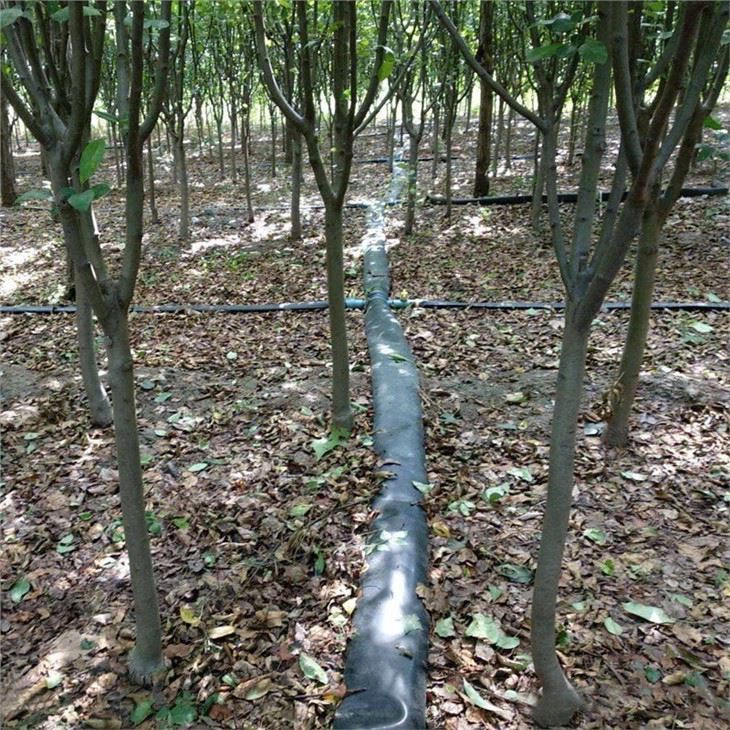 pe-irrigation-flat-water-pipe-min