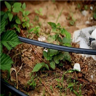 Лабіринт труба крапельного поливу